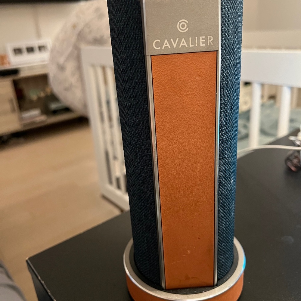 Cavalier speaker